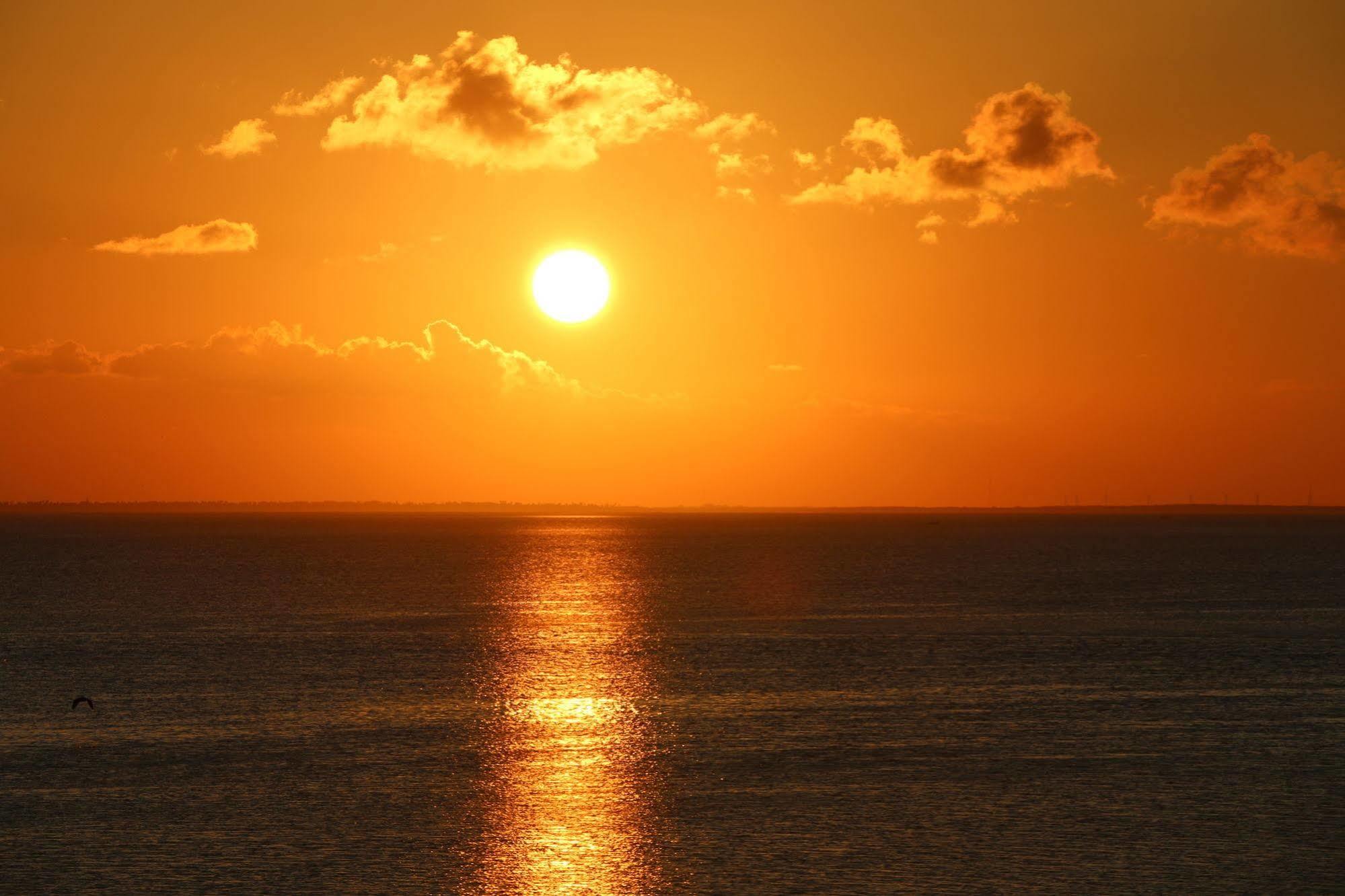 Blue Bay Inn And Suites South Padre Island Εξωτερικό φωτογραφία